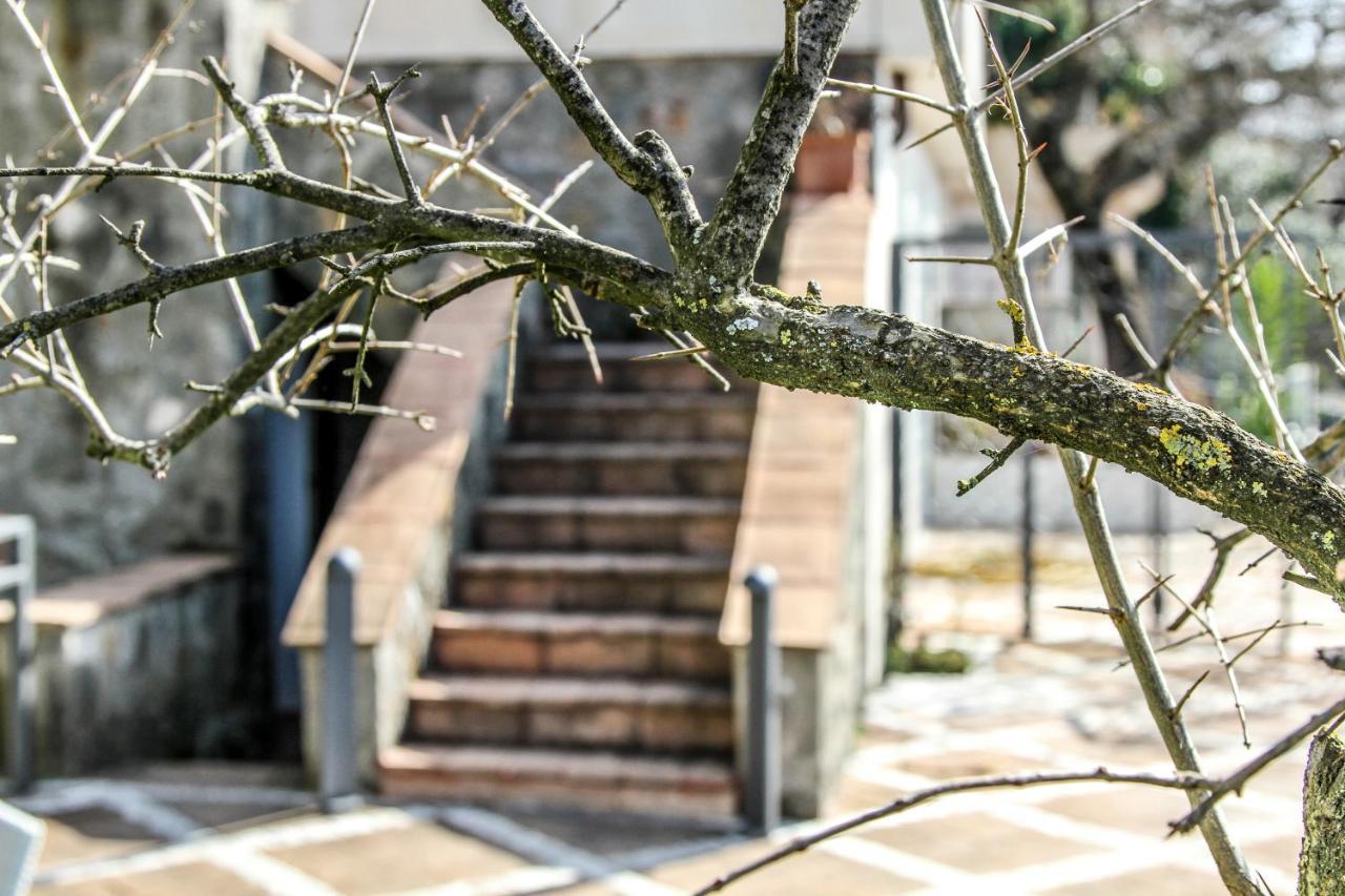 La Locanda Del Pontefice - Luxury Country House Marino Εξωτερικό φωτογραφία